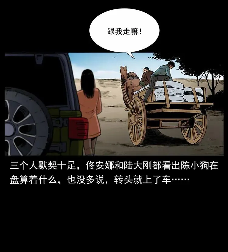 316 大漠归客 第28页