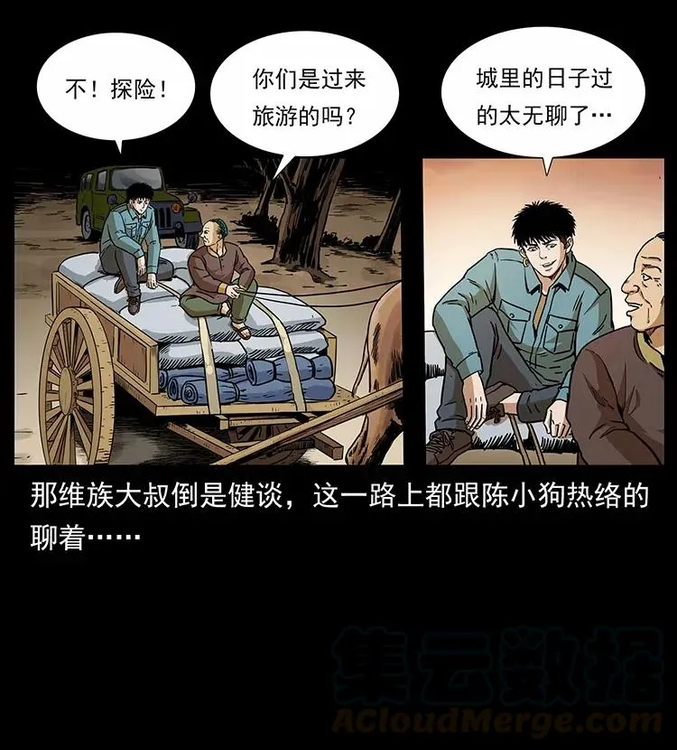 316 大漠归客 第29页