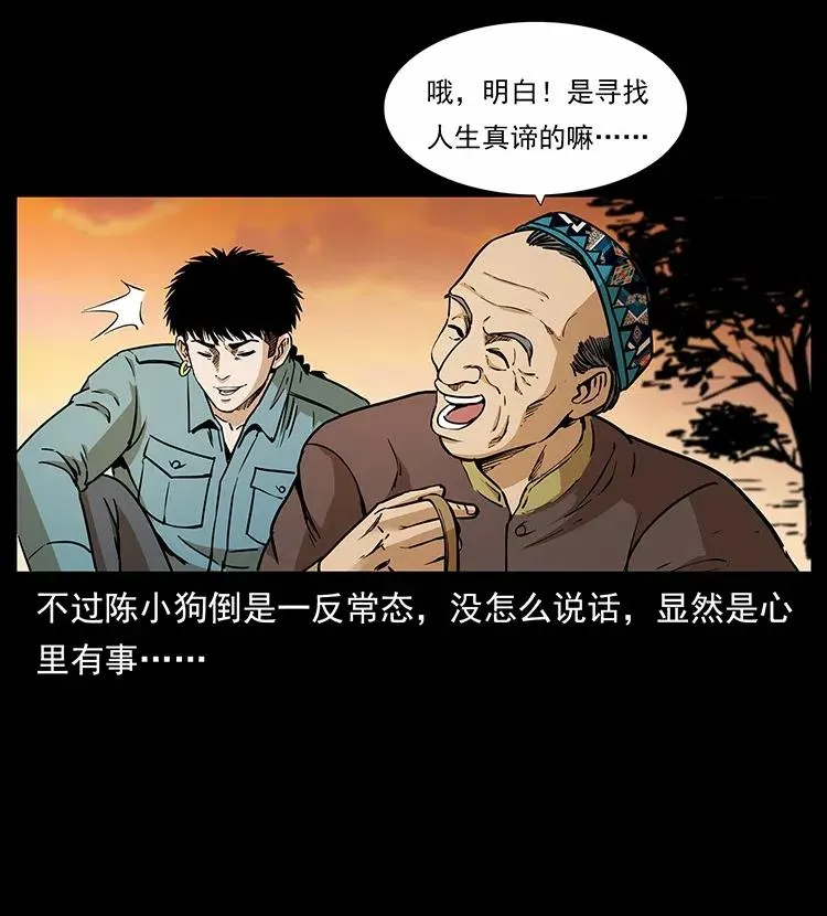 316 大漠归客 第30页
