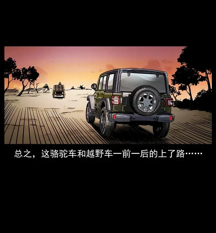 316 大漠归客 第31页