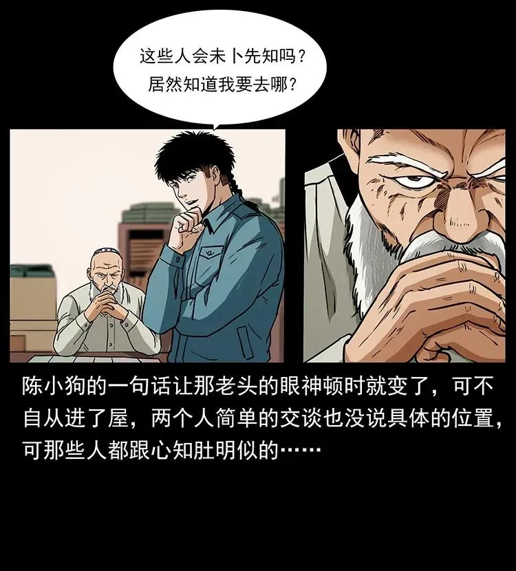 316 大漠归客 第46页