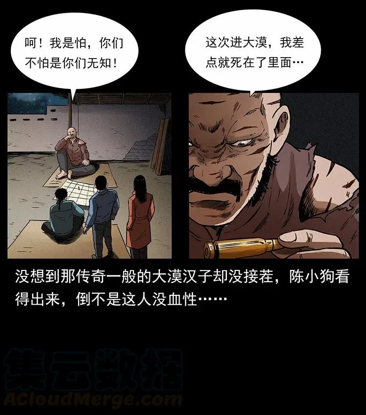 316 大漠归客 第85页