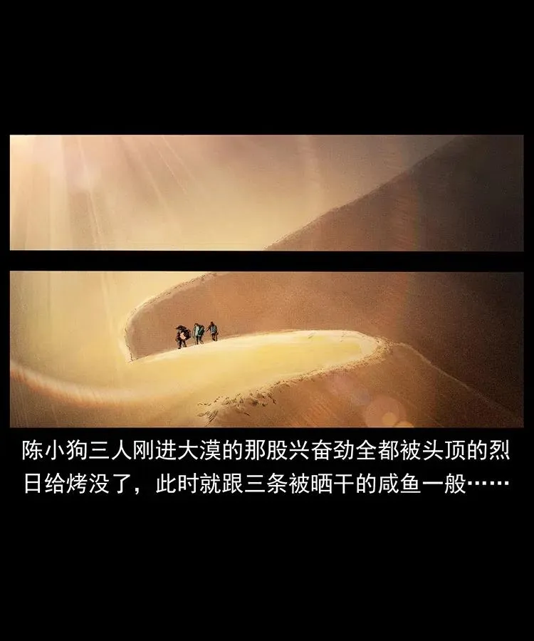 318 沙漠秃鹰 第2页