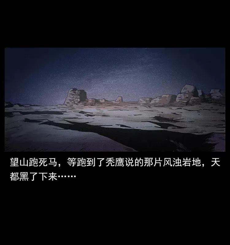 318 沙漠秃鹰 第12页