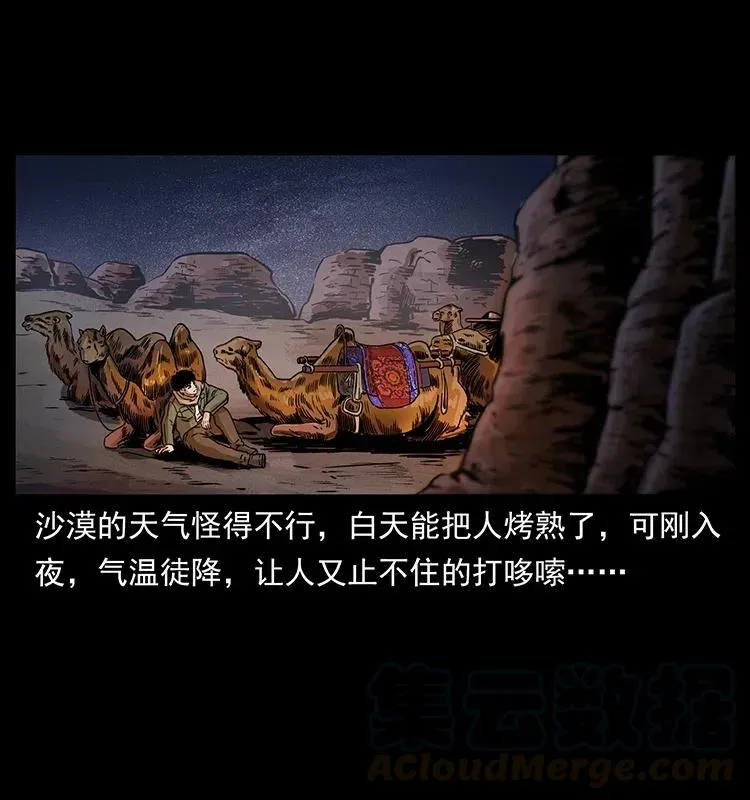 318 沙漠秃鹰 第13页
