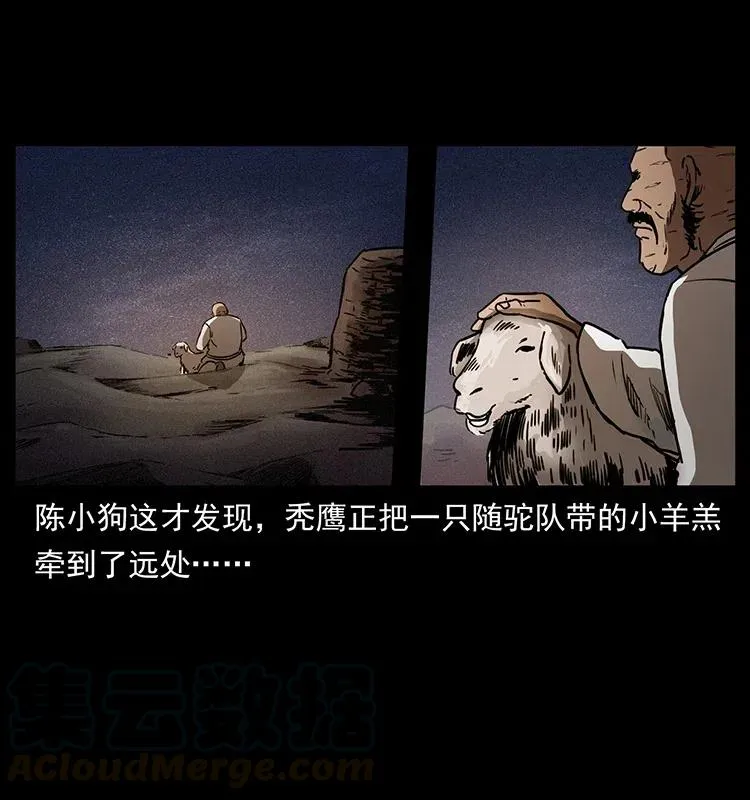 318 沙漠秃鹰 第17页