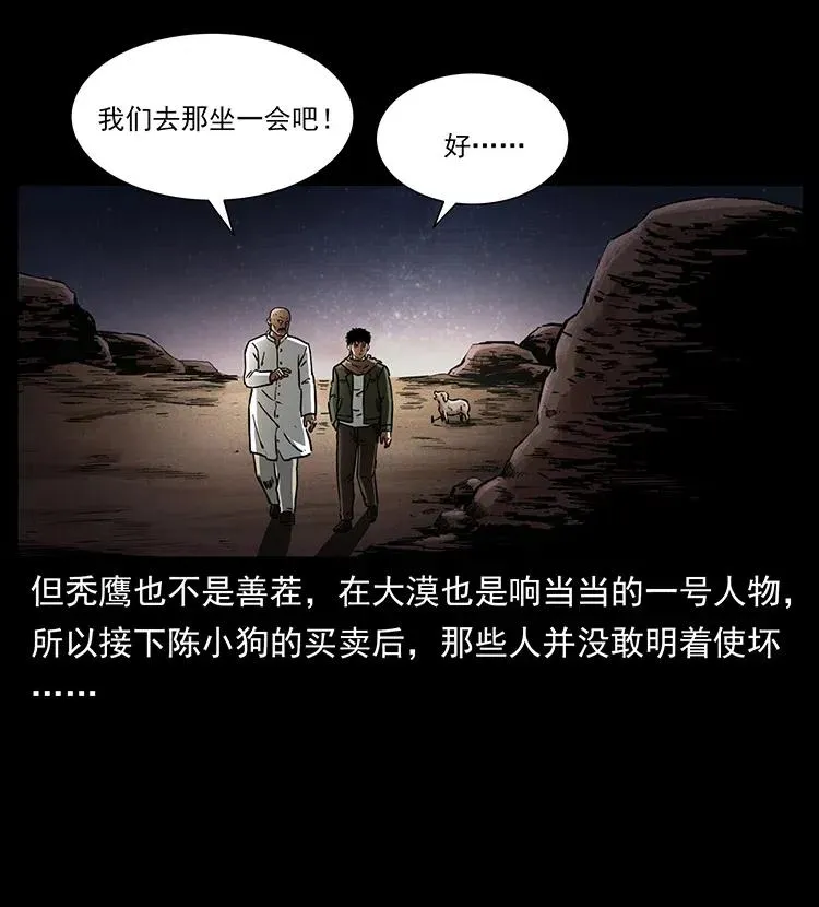318 沙漠秃鹰 第27页