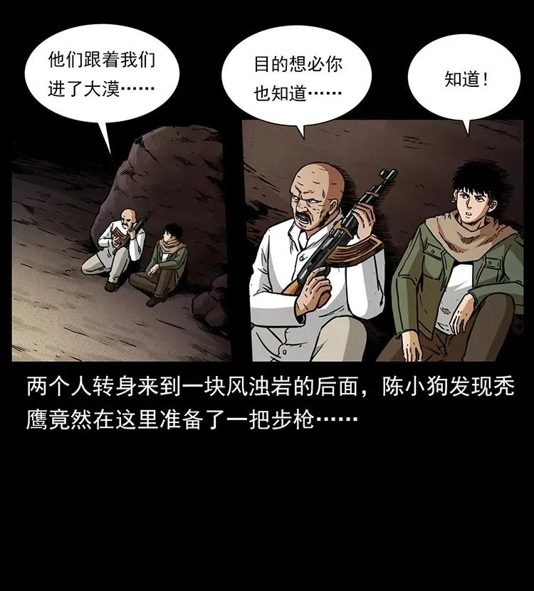 318 沙漠秃鹰 第28页