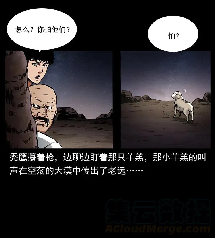 318 沙漠秃鹰 第29页