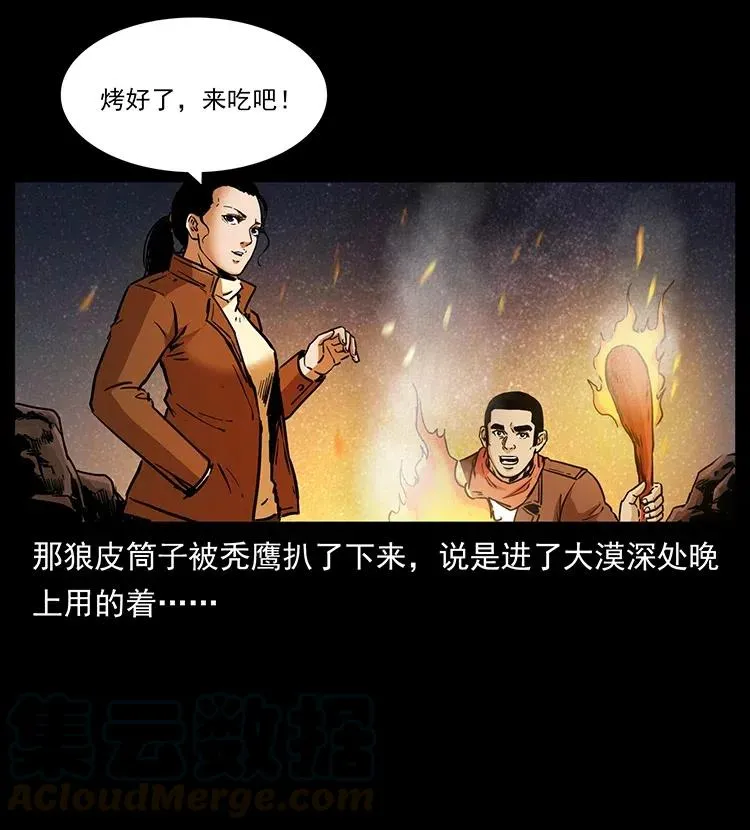 318 沙漠秃鹰 第41页