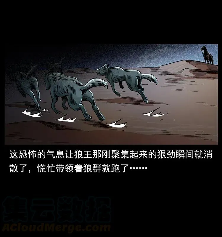 318 沙漠秃鹰 第45页