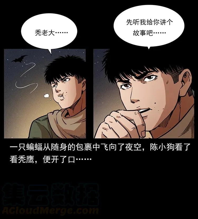 318 沙漠秃鹰 第49页