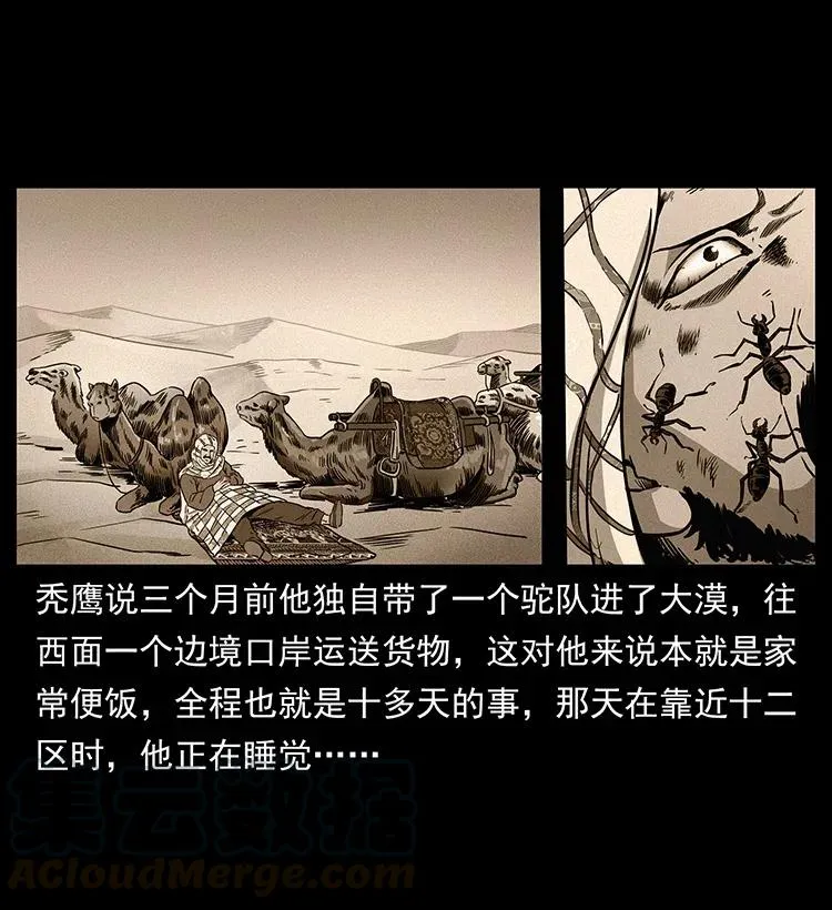317 大漠凶兽 第13页