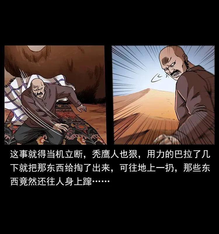 317 大漠凶兽 第16页