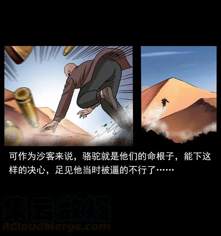 317 大漠凶兽 第25页