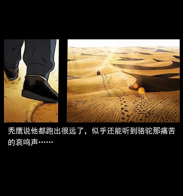 317 大漠凶兽 第27页