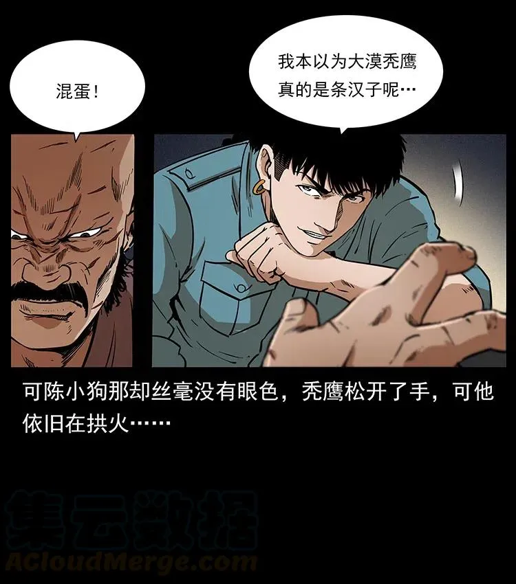 317 大漠凶兽 第37页