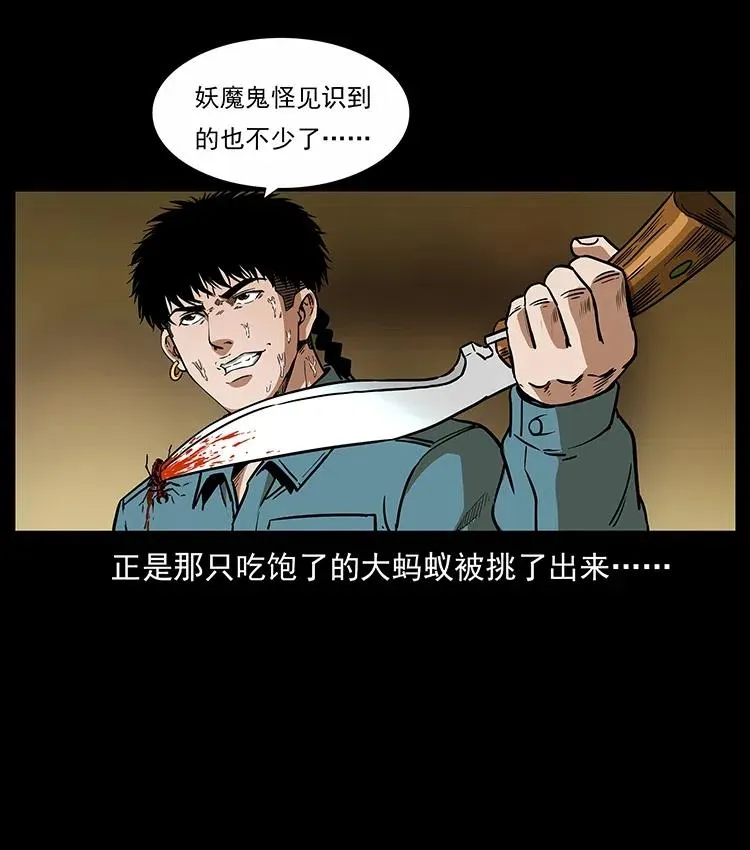 317 大漠凶兽 第43页