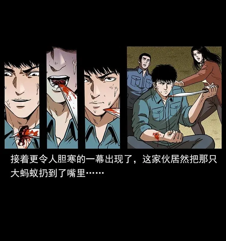 317 大漠凶兽 第44页