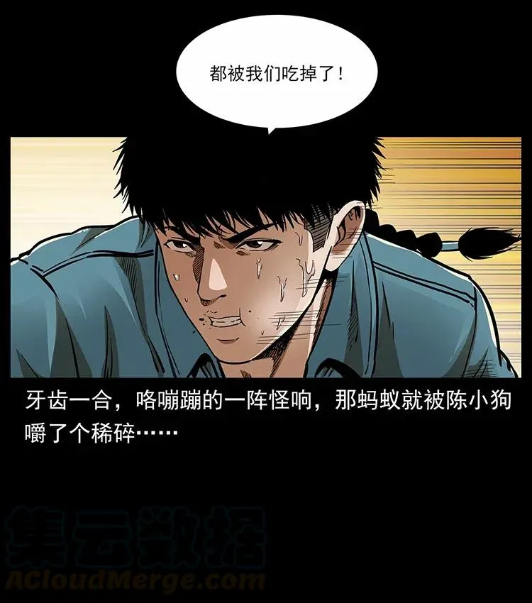 317 大漠凶兽 第45页