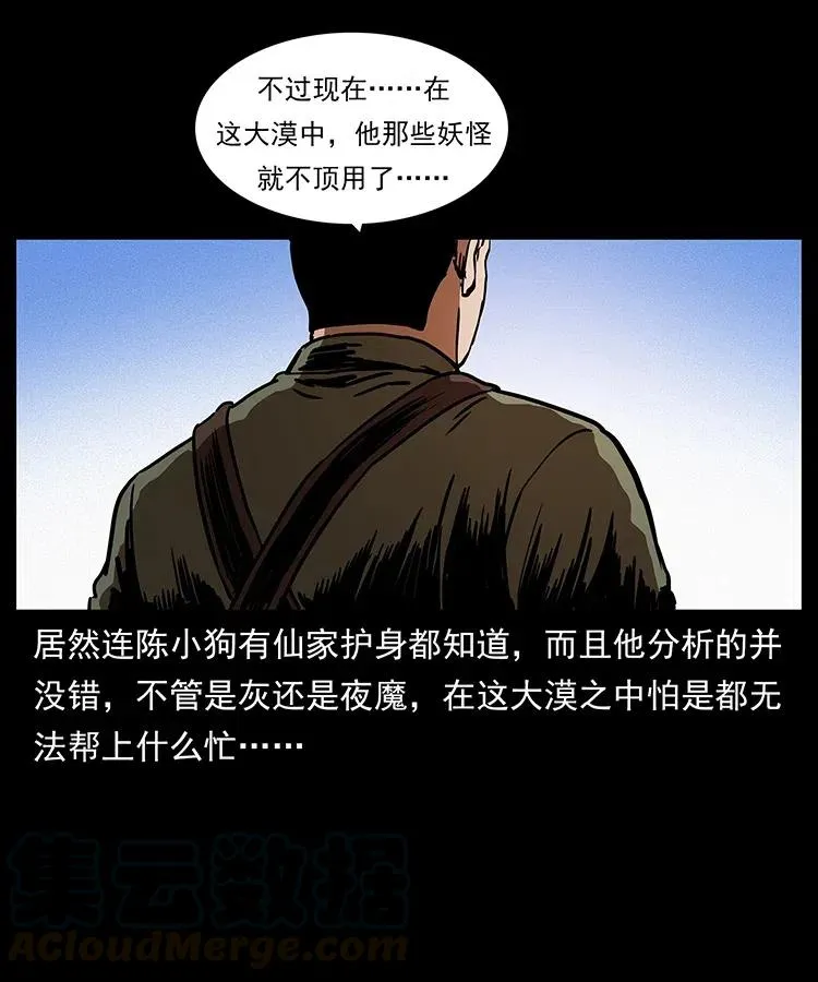 317 大漠凶兽 第81页