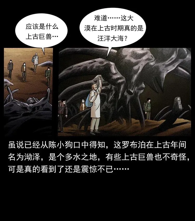 322 生死罗布泊 第3页