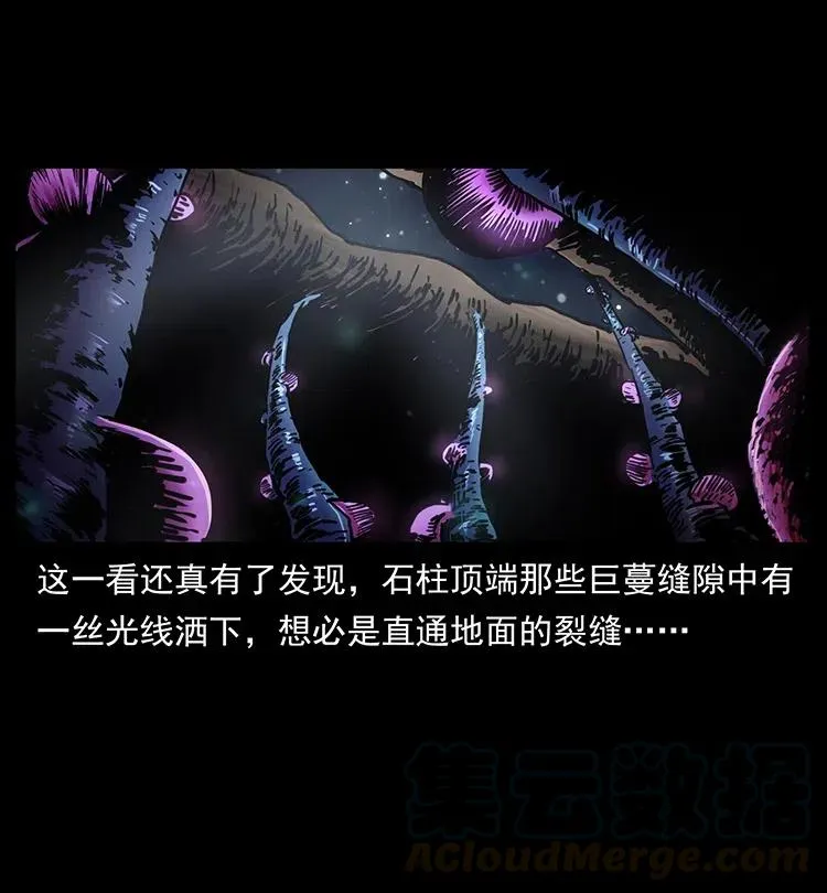 322 生死罗布泊 第37页