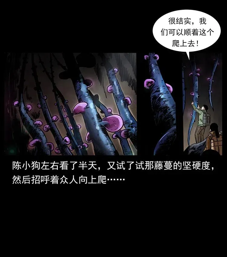 322 生死罗布泊 第38页