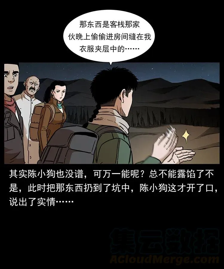322 生死罗布泊 第53页