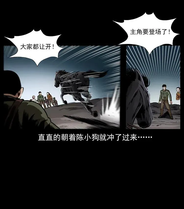 326 妖驹乌云 第46页