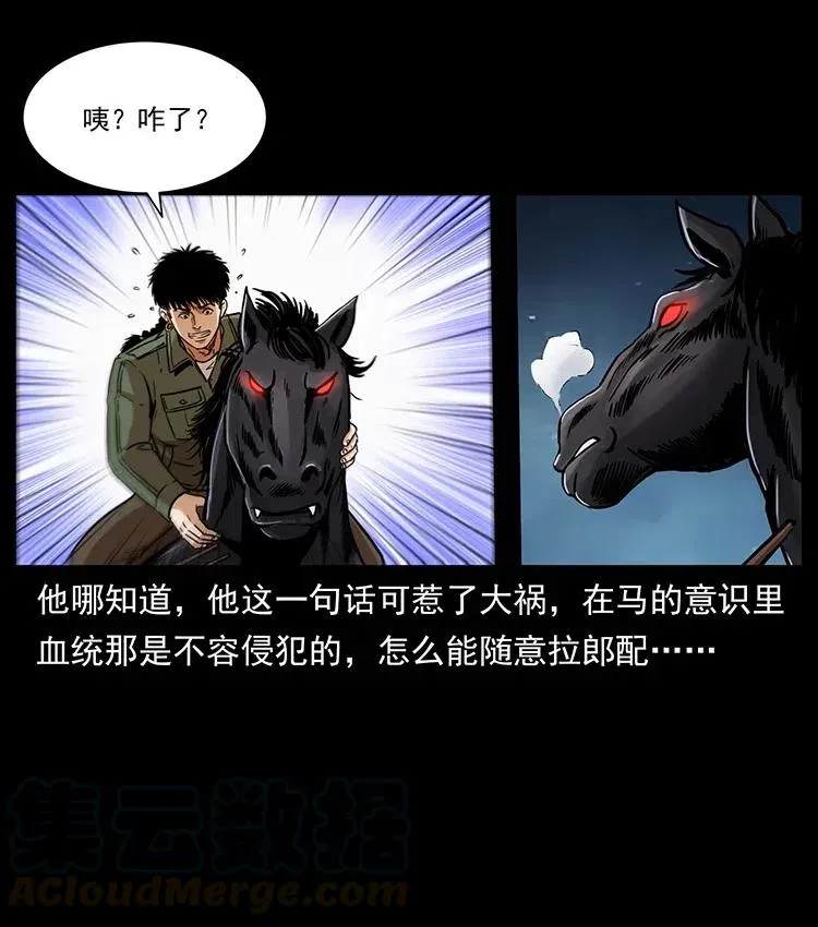 326 妖驹乌云 第49页