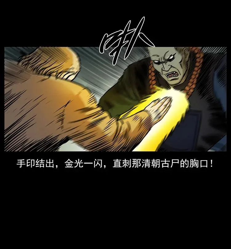 329 这个老头不好惹 第44页