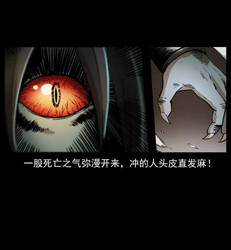 329 这个老头不好惹 第74页