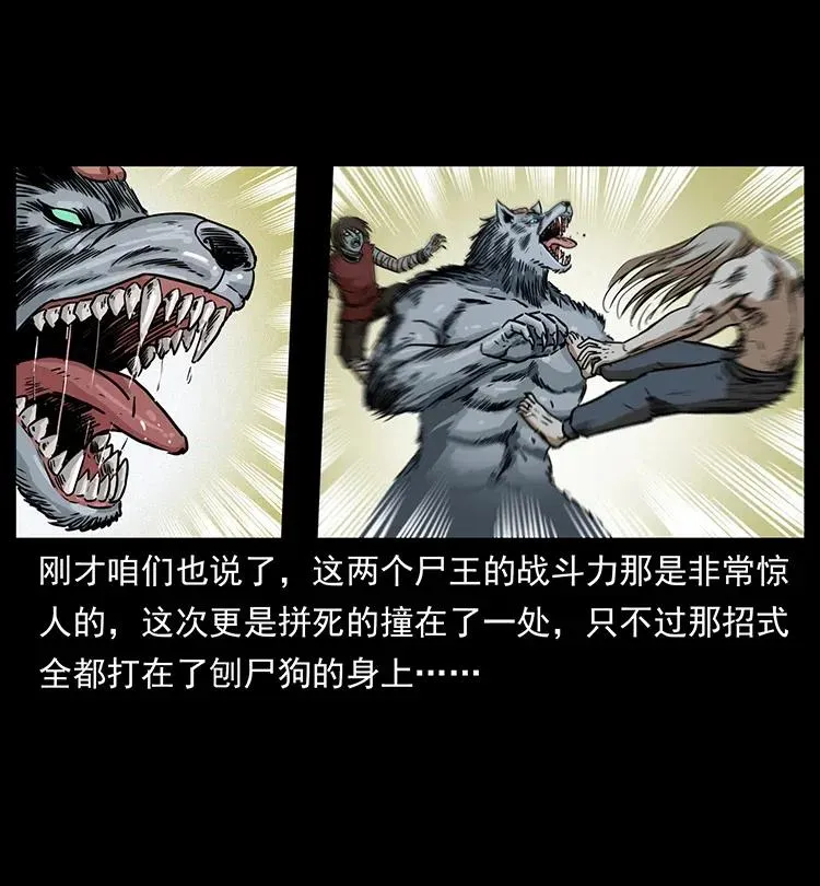 331 樊家尸王经 第28页