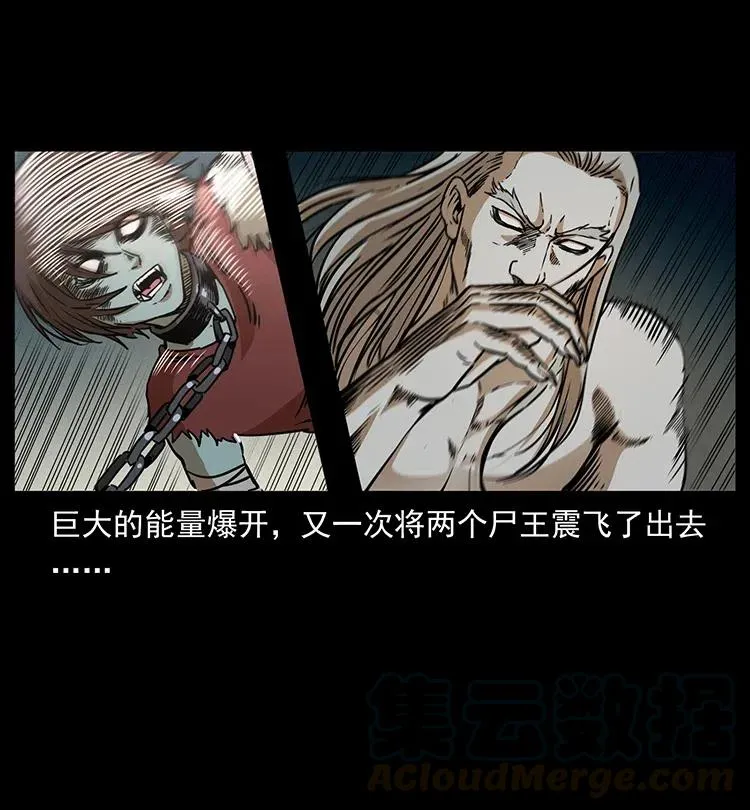 331 樊家尸王经 第29页