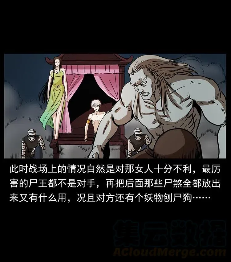 331 樊家尸王经 第33页