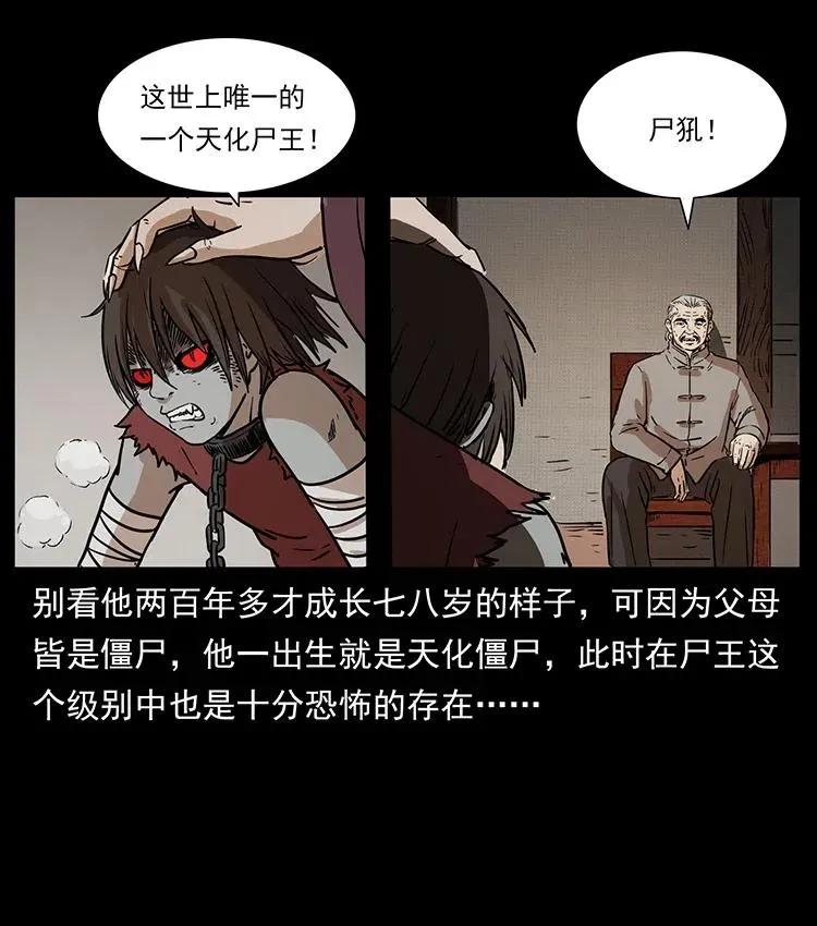 332 挺进大湘西 第35页
