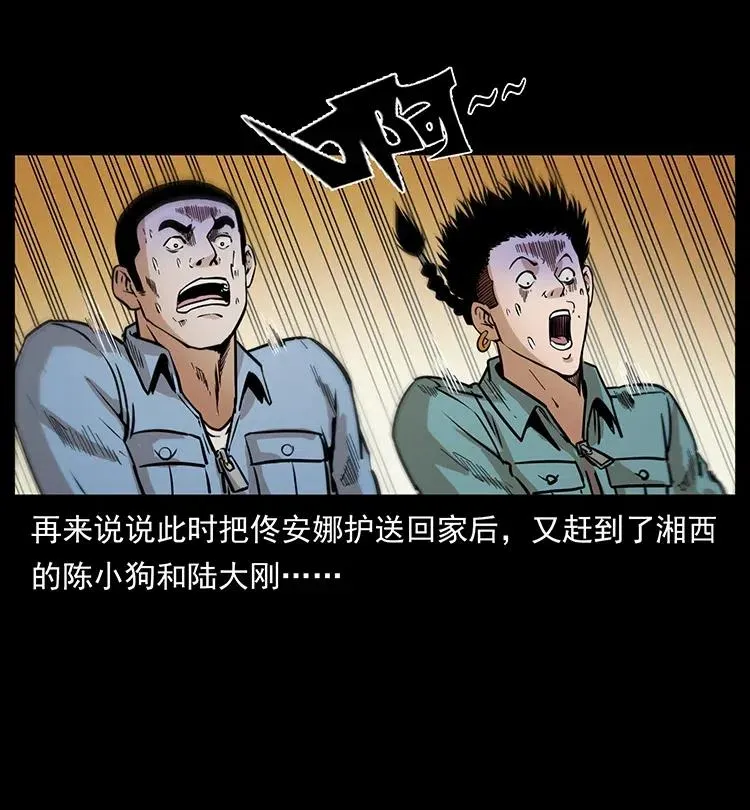 332 挺进大湘西 第42页