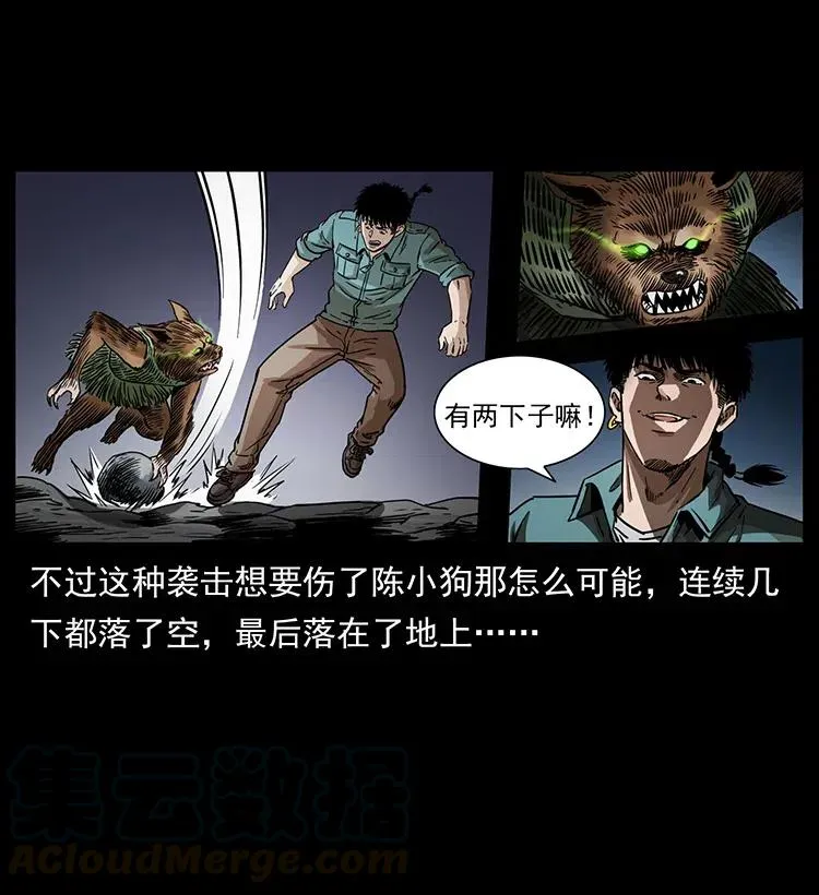 334 山神爷现身 第5页