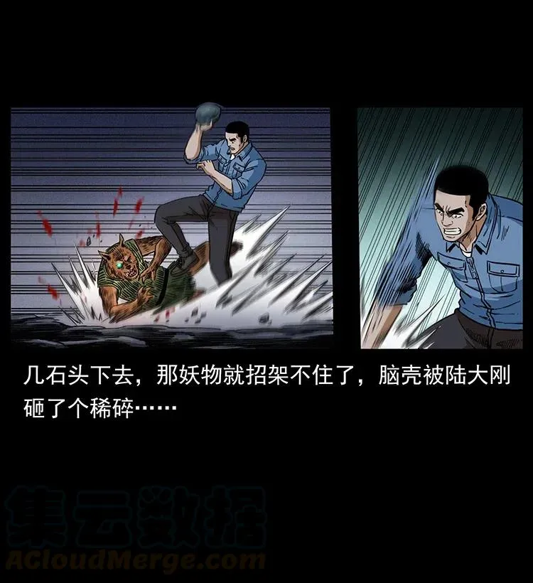 334 山神爷现身 第25页