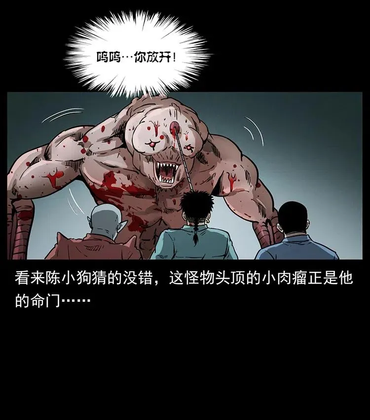 334 山神爷现身 第60页