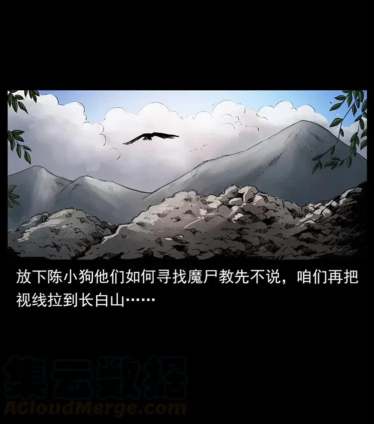 334 山神爷现身 第85页