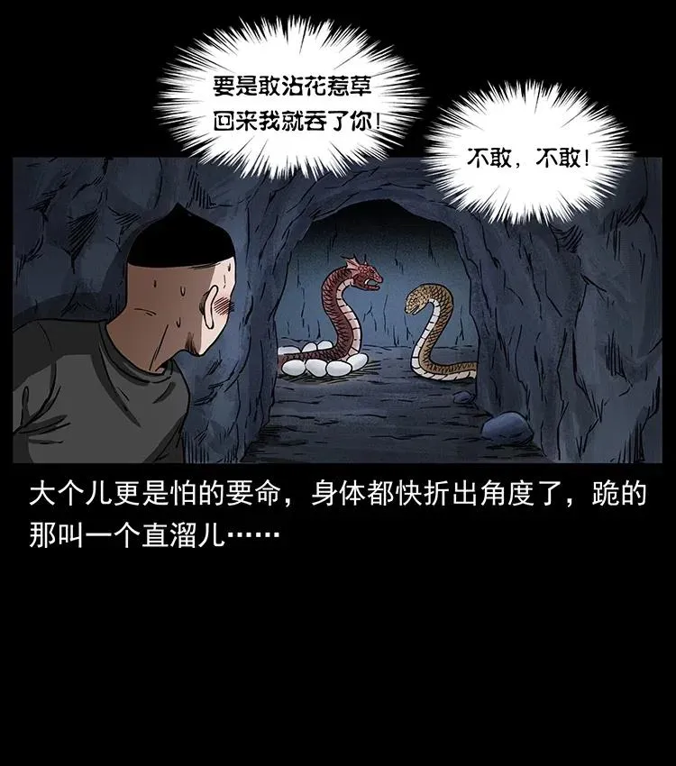 335 出山 第30页