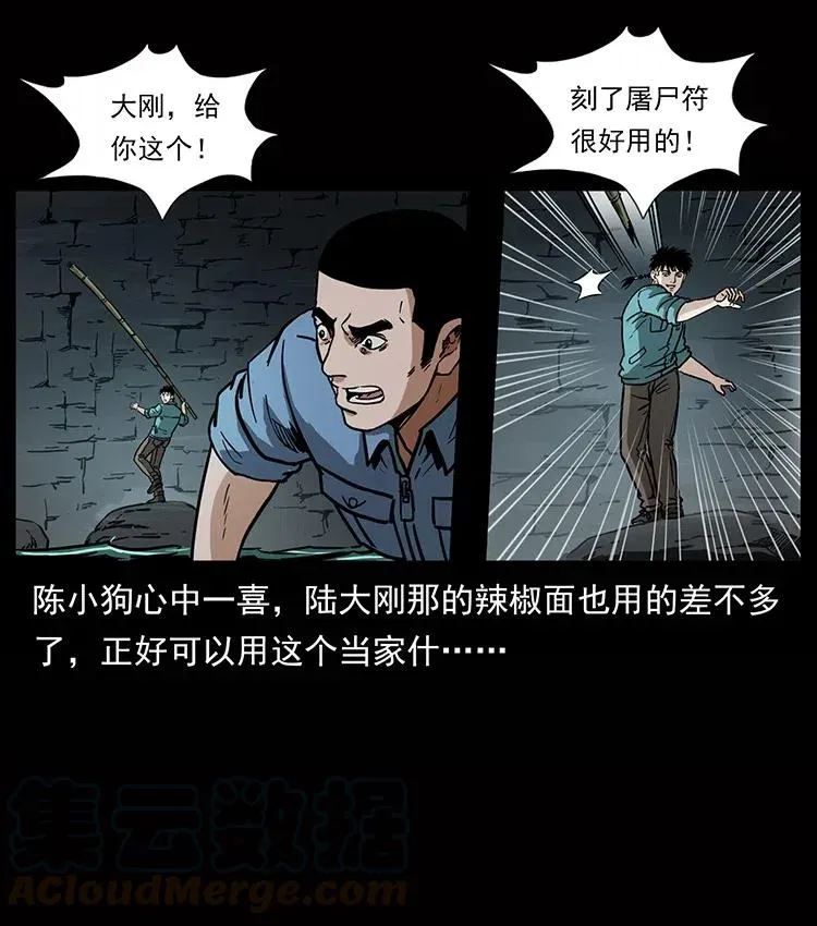 338 水尸 第33页
