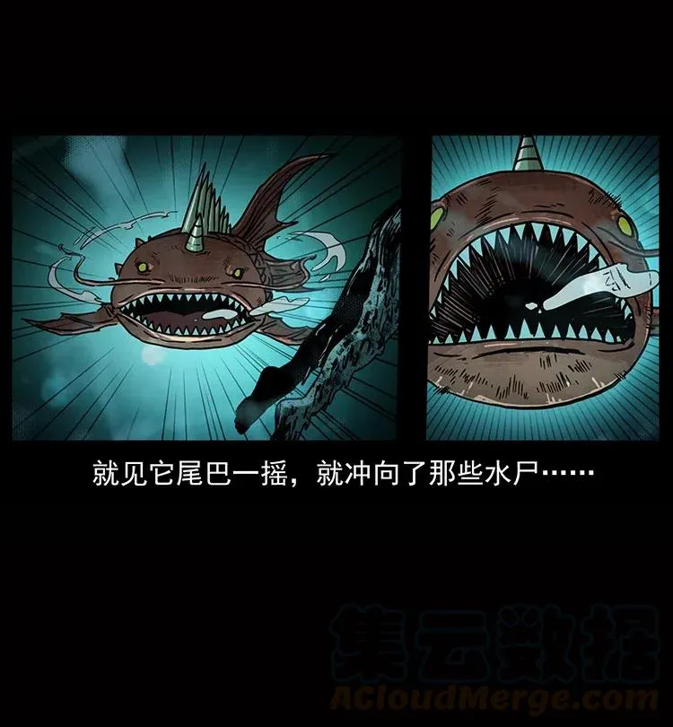 338 水尸 第69页
