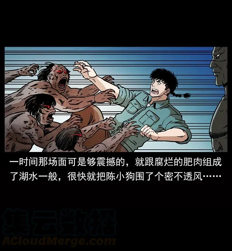339 洞神真身 第17页