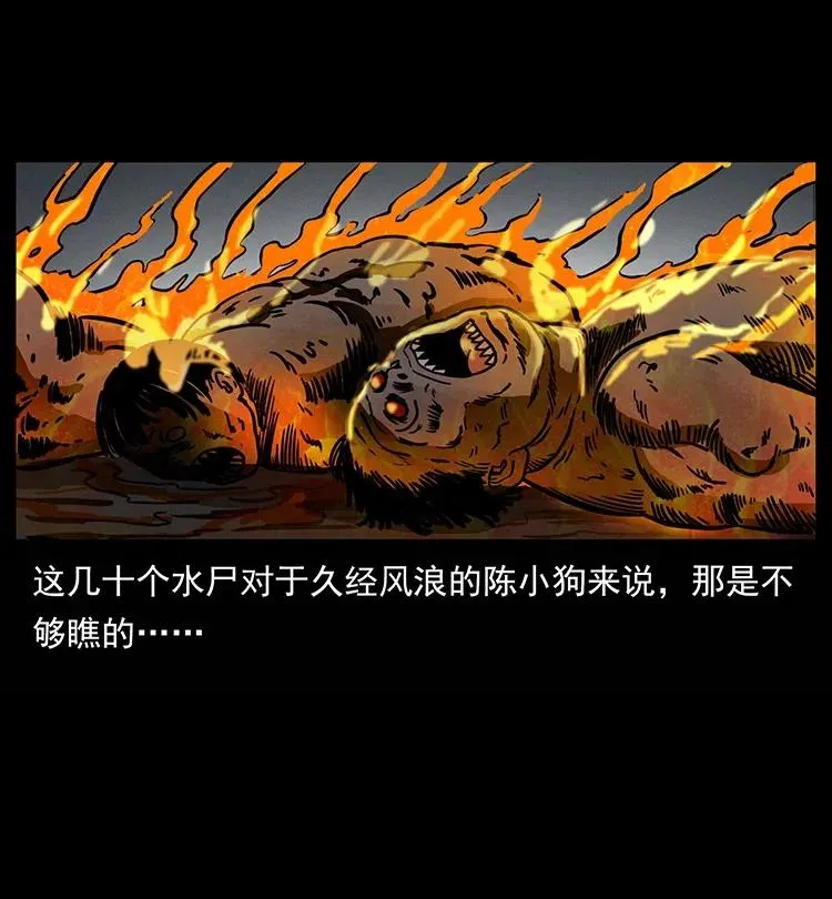339 洞神真身 第56页