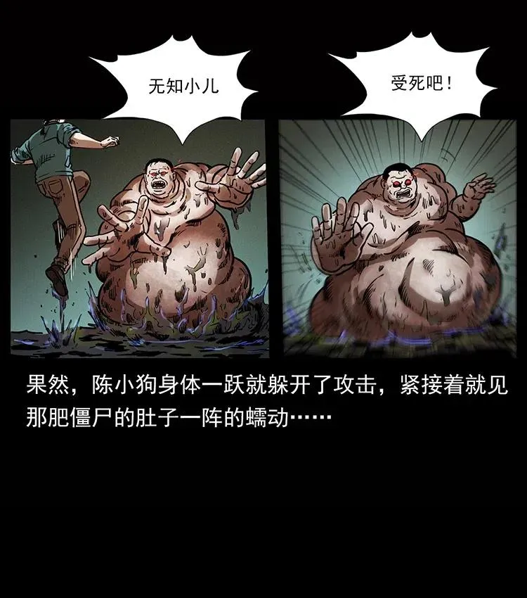 339 洞神真身 第66页