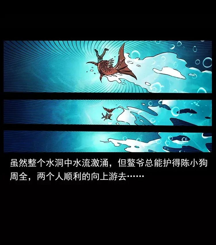 339 洞神真身 第79页