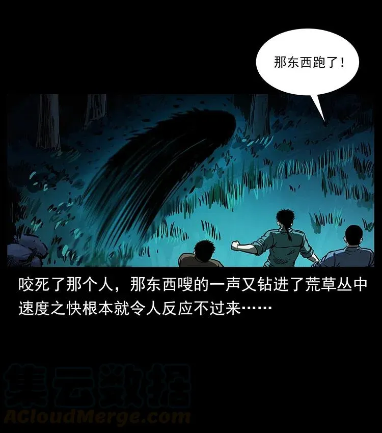 342 白毛僵尸 第5页